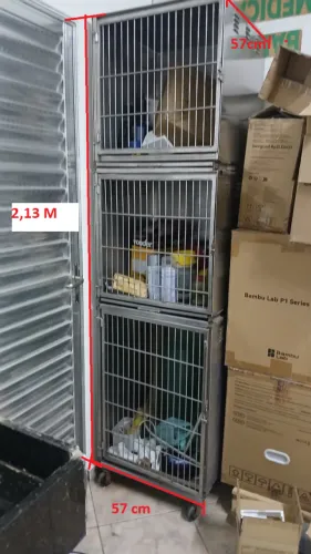 Canil Inox para Banho e Tosa