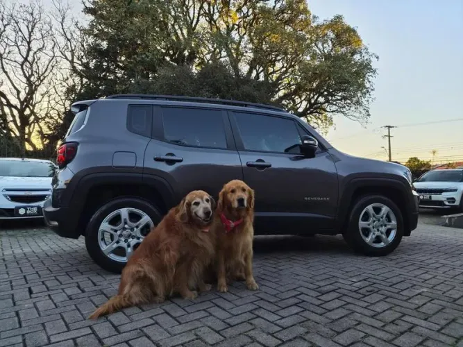 Jeep Renegade Sport T270 1.3 TB 4X2 Flex Aut. 2022