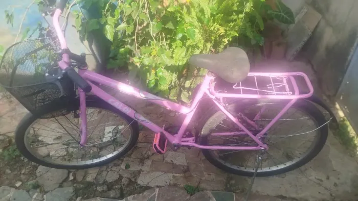Bicicleta Poti