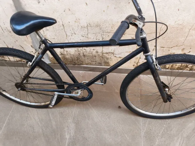 Caloi cruiser safari 