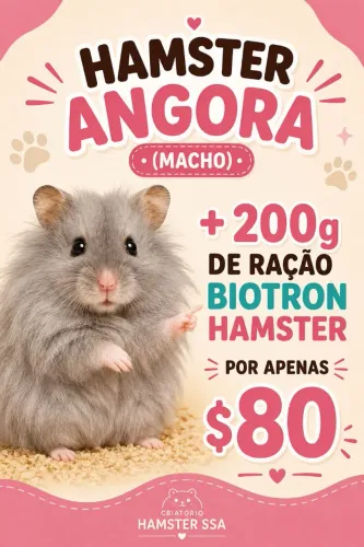 Promocao hamster angora + racao