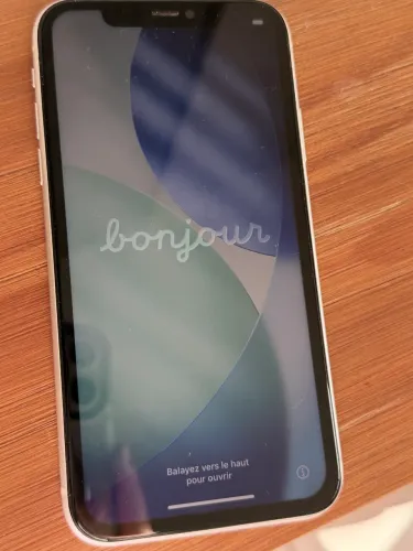 Iphone 11 traseira trincada