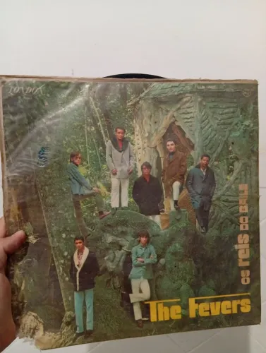 Disco de vinil the fever 