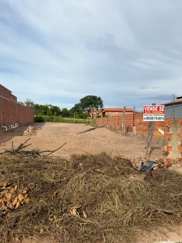 Tereno a venda em Ipiranga do Piauí 