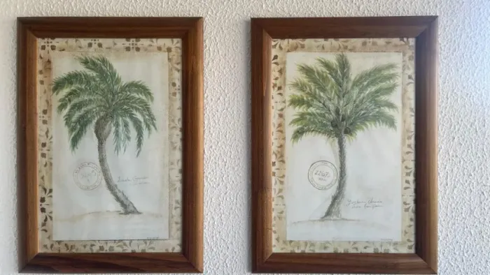 Quadros Coqueiros com Moldura - 39cm x 54cm / Perfeito Estado.