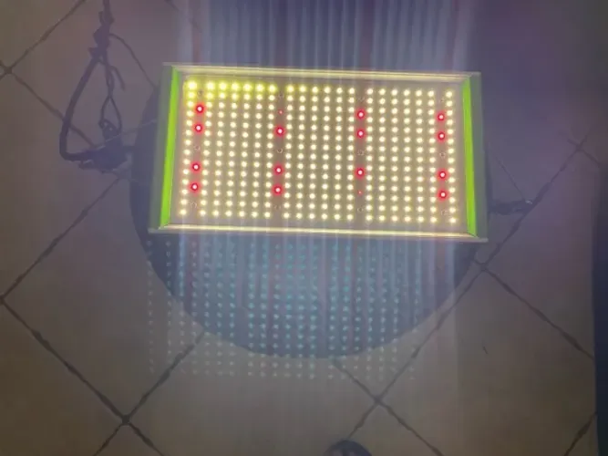Painel de Led cultivo indoor quantum board 100w