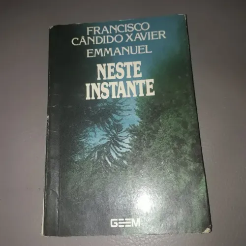 Livro Neste Instante - Francisco Xavier (Emmanuel)