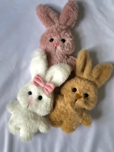Coelhinhos em promoção