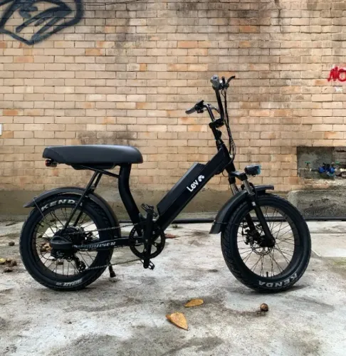 Bicicleta elétrica Lev Cruiser - bateria 48v - motor 500W - 0km