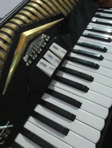 Acordeon italiano 120 Baixos vendo ou troco
