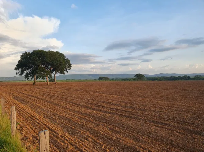 Fazenda de 404 hec em Nobres MT. Com 300hec formados 13 milhões.