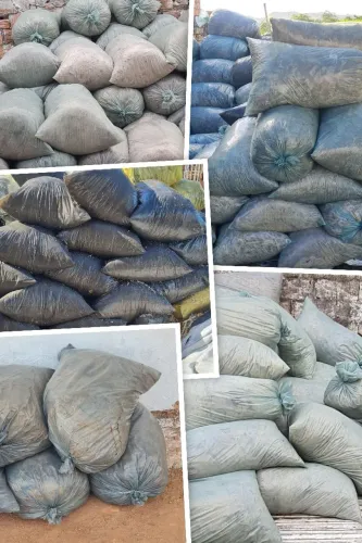 Silagem de cana com laranja e maracuja *54