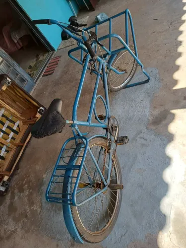 Bicicleta cargueira 