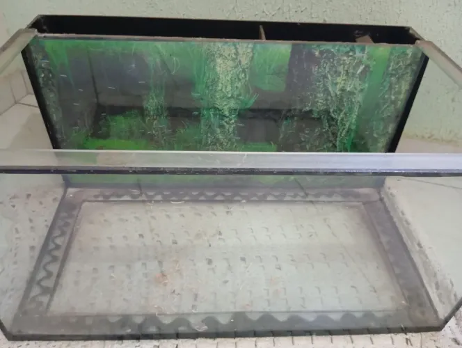 Vendo Aquário com Sump