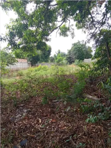 Lote Três Marias