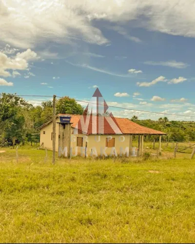 FAZENDA - FIGUEIRÃO - MS