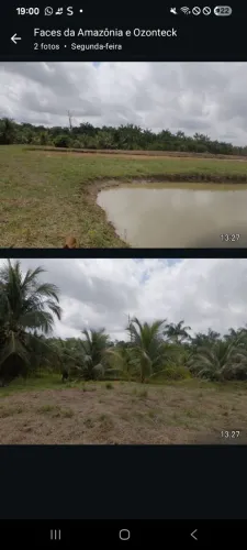Vendo lote de 50 hectare na br 319 km 155. Área de facil acesso lugar muito produtivo.