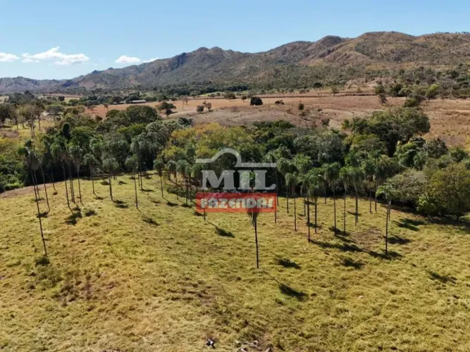 Fazenda 51 alqueires ( 247 hectares) Vila Propicio - GO