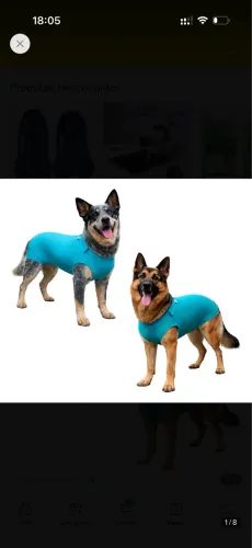 Roupa Cirúrgica para Pet Grande Tamanho 15 