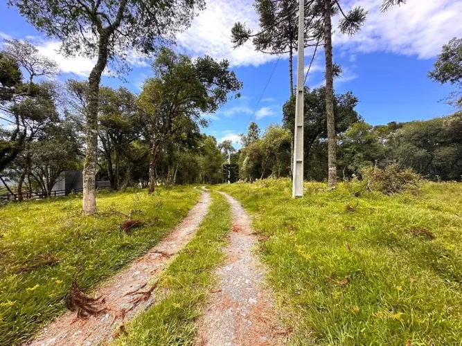 Excelente Terreno Rural 2 Hectares | Cercado, Com Energia e Água