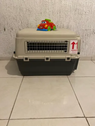 Caixa de transporte para pet L70