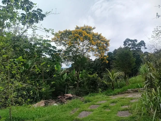 Sitio em Mairiporam 