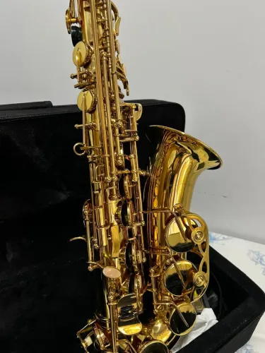 Sax Alto Shelter
