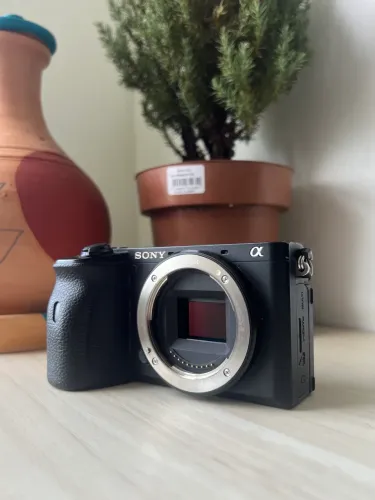Sony a6600