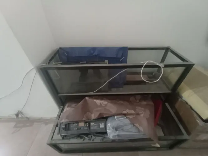Casa para hamster ou porco da índia