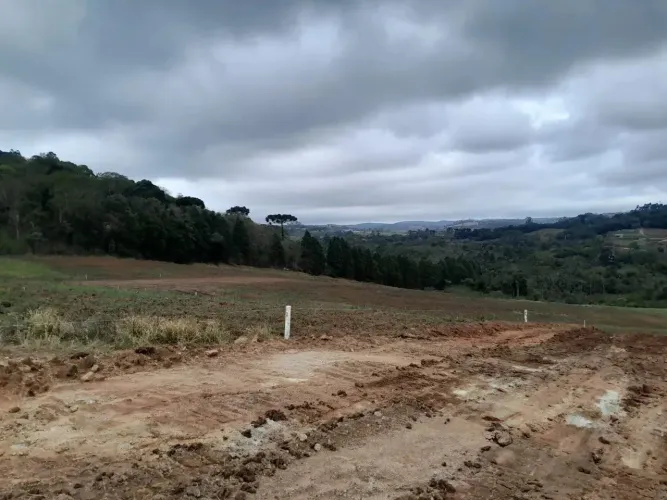 Lotes com valores promocionais