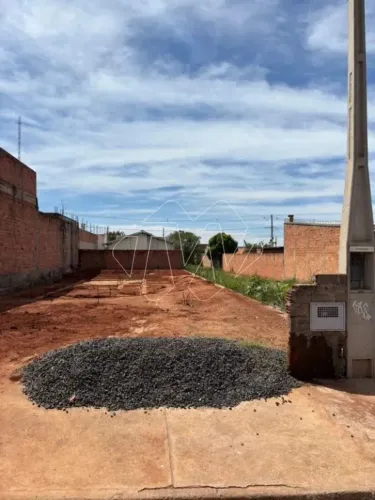 Venda de Terreno / Padrão na cidade de Araraquara