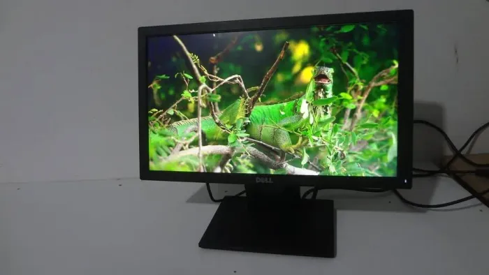 Monitor Dell 19 Polegadas E1916hf Vga Display Port Preto 110/220