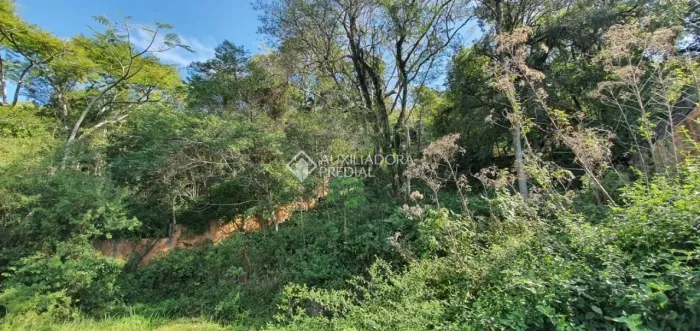 Terreno à venda em Lagoa da Conceição