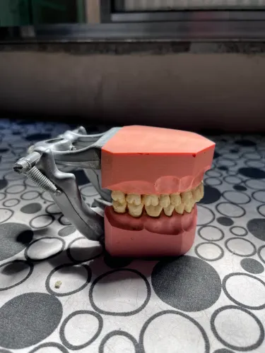 MANEQUIM ODONTOLÓGICO