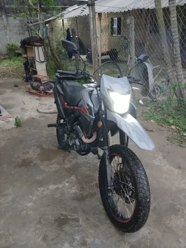 Shi175 efi 2026