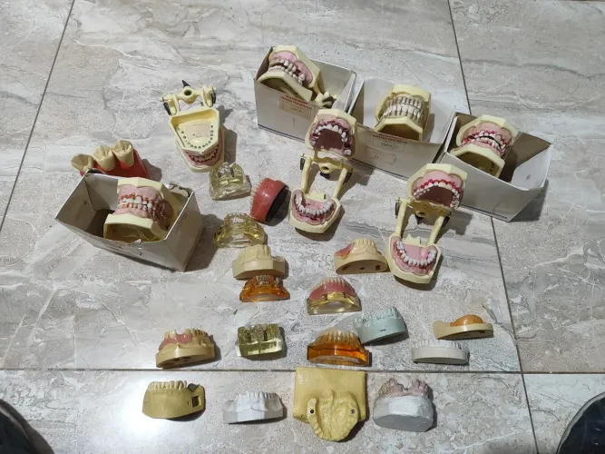 Manequim odontológicos TD por