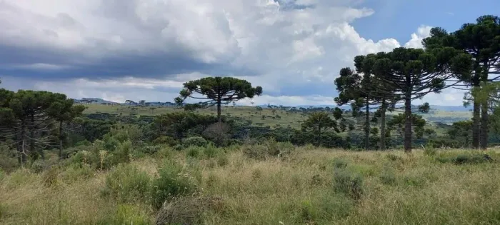 Terreno de 2 hectares/Chácara para Venda no bairro Bom Sucesso, localizado na cidade de Ur
