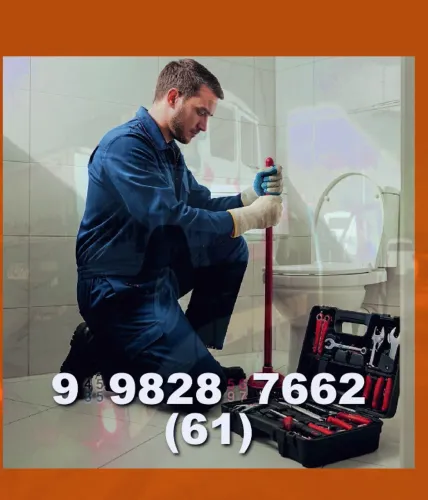 Desentupidora Profissional - Canos, Ralos, Pias e Vasos Sanitários Desobstruídos