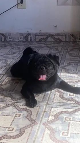 Lucky disponível pra namorar