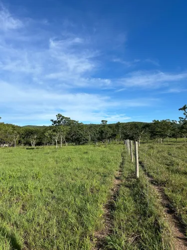 Propriedade no município de Goianesia, na região do santa família.