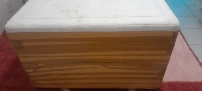 Caixa de isopor grande
