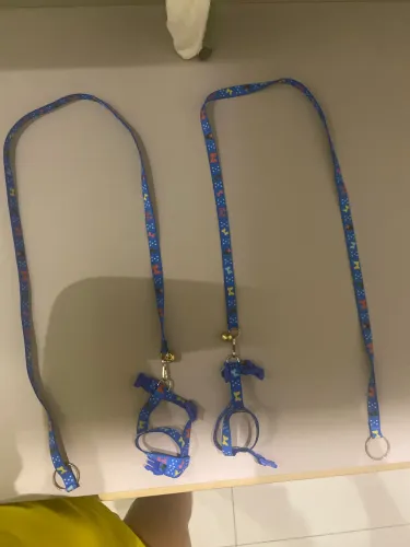 Uma coleira para calopsitas 2 unidades