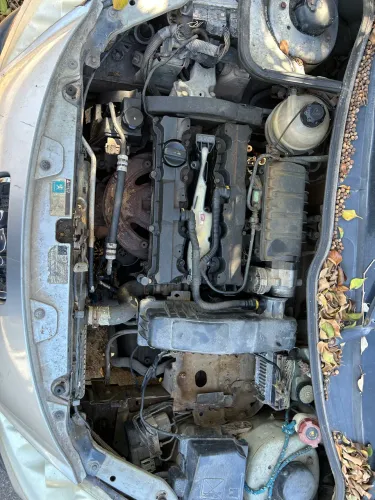 Peugeot 207 XS 1.6 Flex 16V 3P 2009