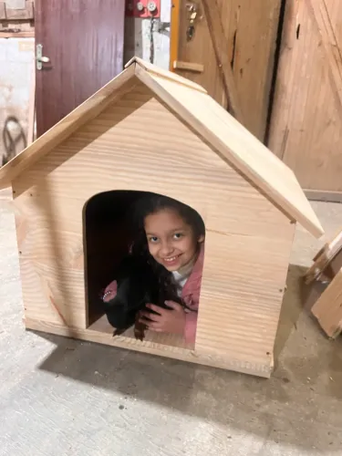Casinha para cachorro 