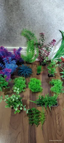 Plantas ornamentais de aquário