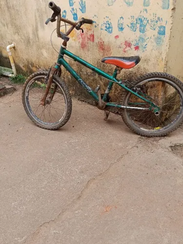 Bicicleta