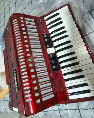 Vendo sanfona nova 80 baixos