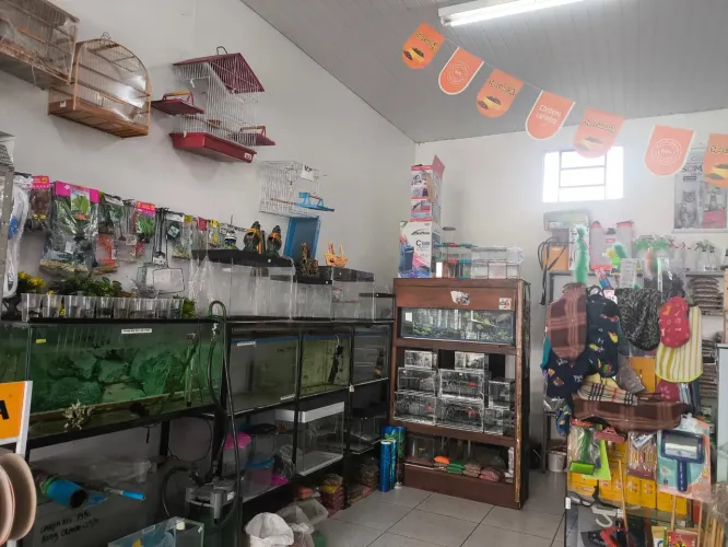 Loja agropecuária em Apucarana