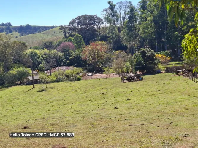 Sítio 19 Hectares Brazópolis-Mg <br>