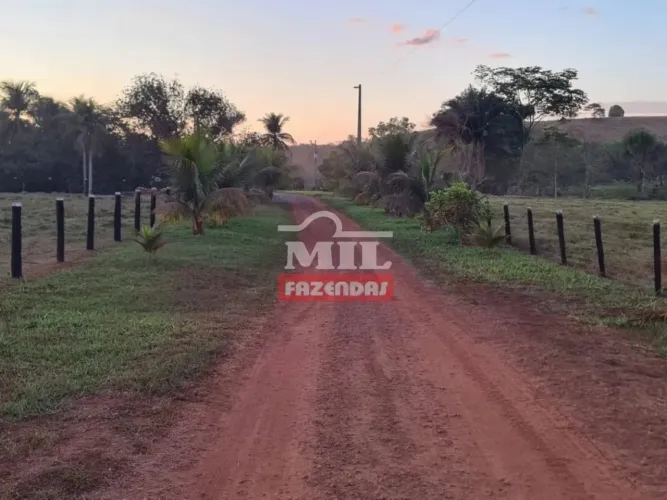 Fazenda Diferenciada em MarabA-PA. (334 Hectares). 87% Formada.